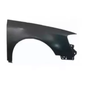 Çamurluk Ön Sağ - 00119012 ORAN - Seat Ibiza 10-17 Arası Uyumlu