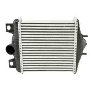 Land Rover Range Rover Sport 2 13 Ve Sonrası Uyumlu-Turbo Radyatörü 276X278,8X64-LR036432-WISCO